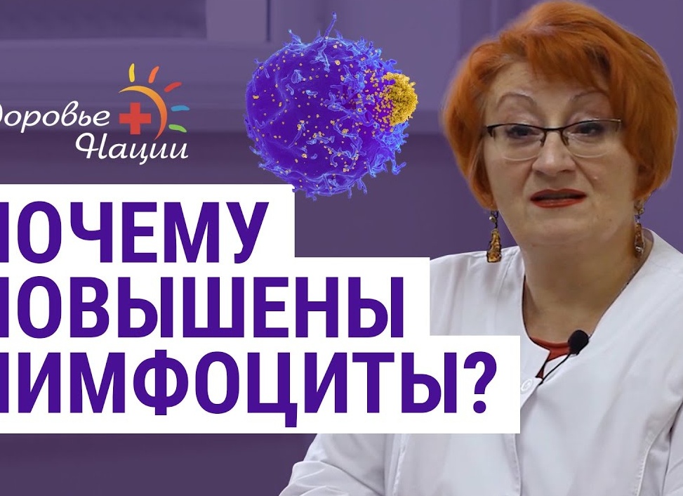 Лимфоциты в крови повышены: причины у женщин цимфацитоза