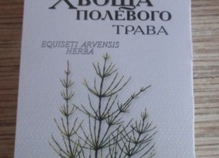Хвощ полевой при аденоидах у ребенка: лечебные свойства отвара для капель в нос