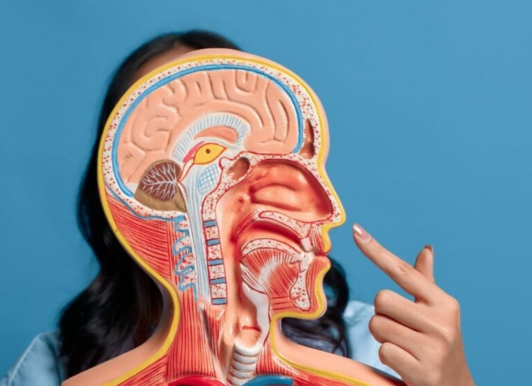 Если появились зеленые сопли у взрослого: как избавиться от них, чем лечить заложенный нос