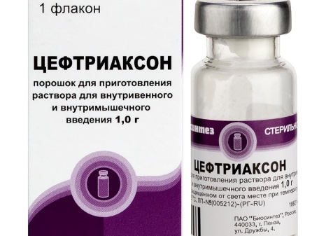 Введение цефтриаксона внутримышечно взрослым, как правильно колоть и разводить препарат в ампулах
