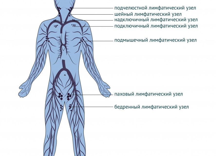 Подколенные лимфоузлы: расположение и причины воспаления